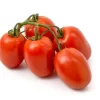 Pomodoro cengara