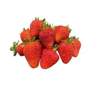 Fragole sfuse