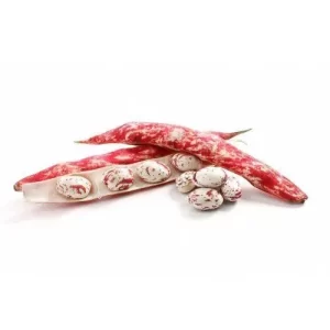 Fagioli borlotti