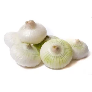 Cipolla bianca piatta