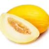 Melone giallo helios
