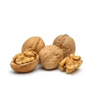 Noci del perigord